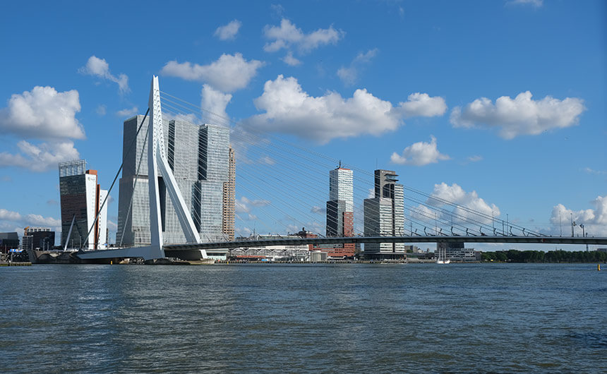 The Erasmus Bridge crosses the Nieuwe Maas river
