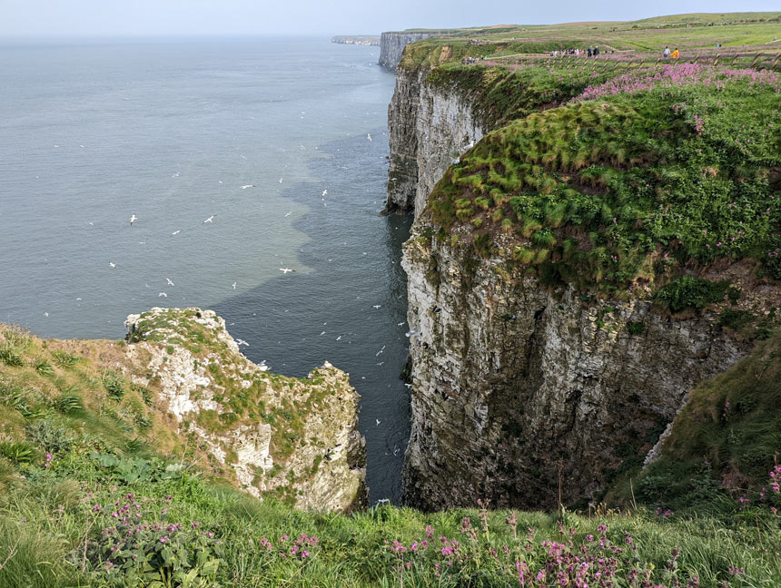 The Yorkshire Coast is full of gorgeous places to visit. This is Bempton Cliffs, near Bridlington.