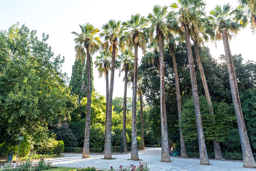 The National Garden in Athens is a green oasis in the city