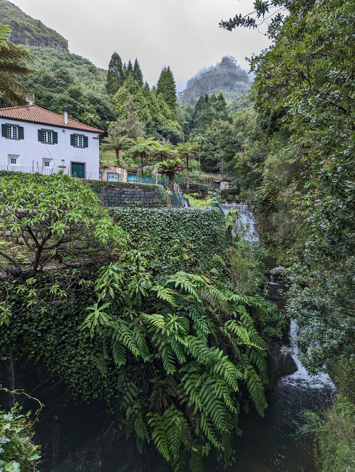 The pretty trout farm at Ribeiro Frio is next to the river that gives the village its name