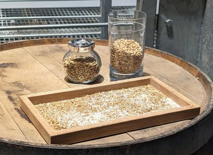 Three containers with barley at different stages of its use in whisky making