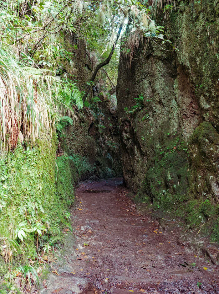 The path seems to disappear between rocks. It's all very magical.