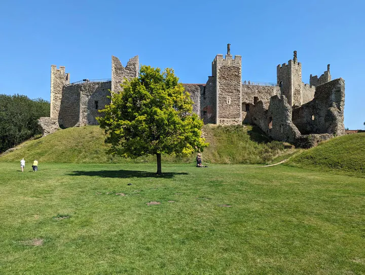 Framlingham Castle from the lower court. A medieval castle with towers is on top of a small grassy hill, with a tree in front.