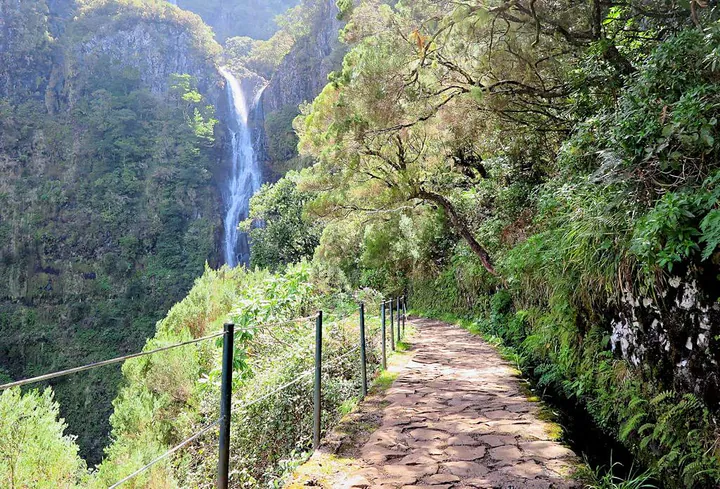 A mountain walk in Madeira. The mountain is heavily wooded. There's a tall waterfall at the end of the path.