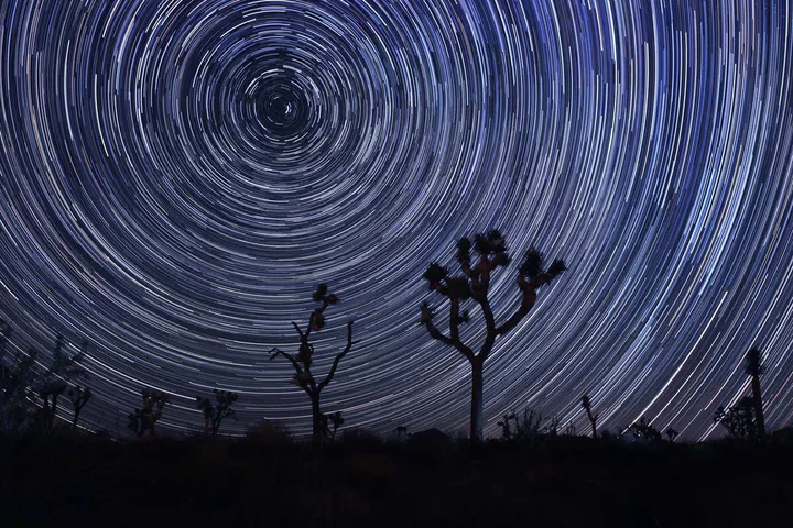 Stargazing in Joshua Tree National Park