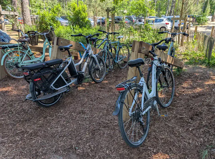 Bikes locked up at a forest parking spot. There is a car park in the background.