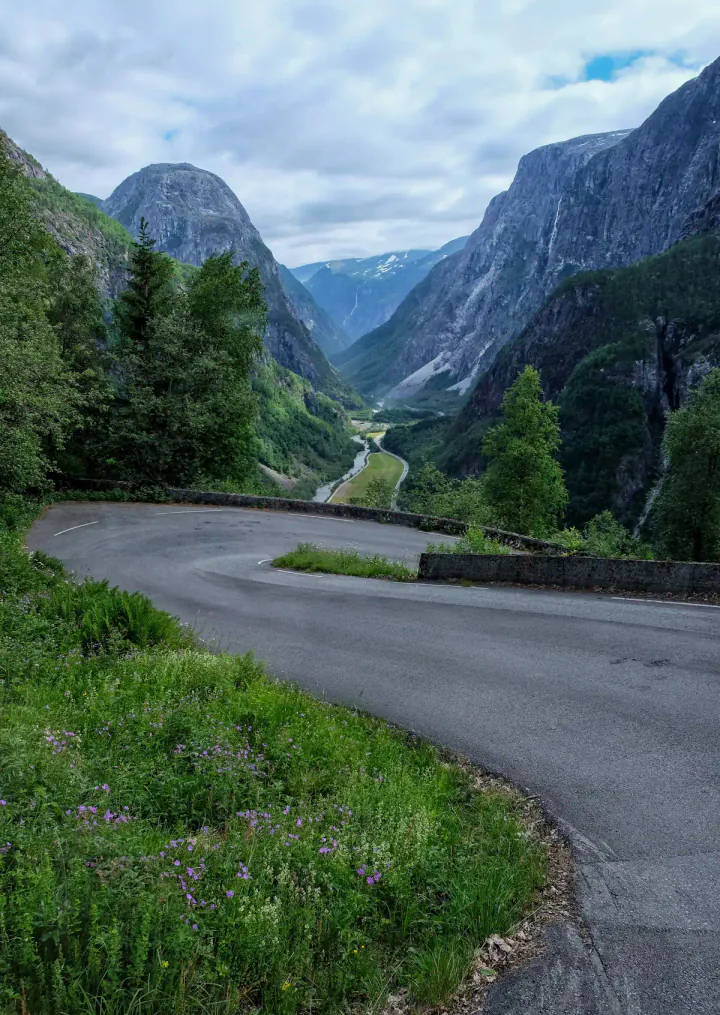 The epic hairpin bends on the Stalheimskleiva road down to Gudvangen. There are mountains in the background and spring flowers growing by the side of the road.