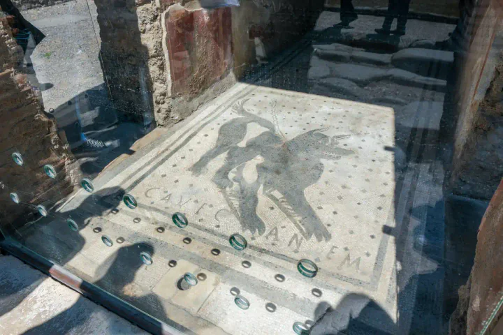 The Beware of the Dog mosaic at the entrance of the House of the Tragic Poet