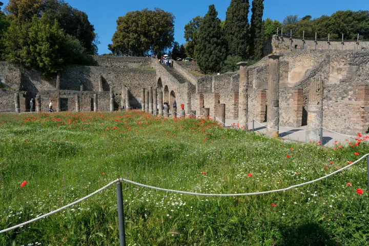 Spring flowers in a large grassy area, with columns in the background