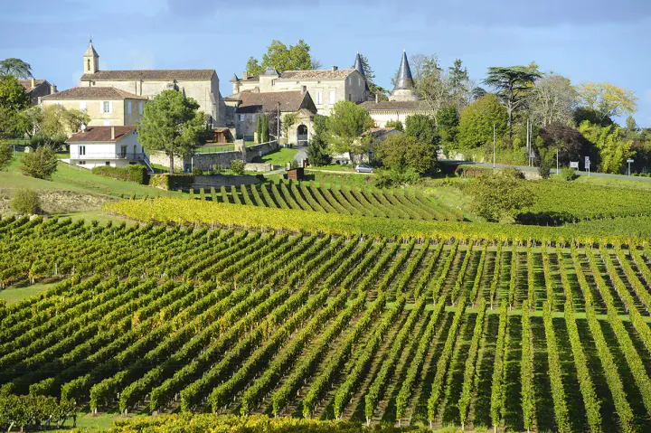 Fields with rows of grape vines, with old village buildings in the background