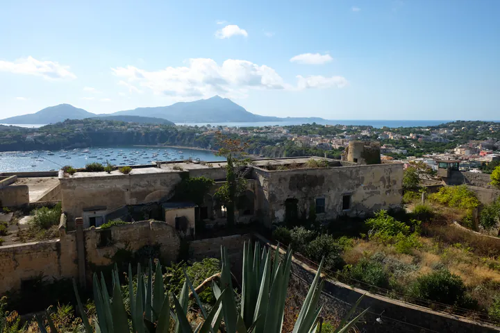 Looking across the island from Terra Murata. There are cactuses and the ruins of an old windmill, with a bay beyond. Almost the whole island is in one photo.