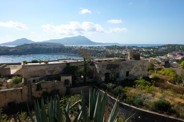 Looking across the island from Terra Murata. There are cactuses and the ruins of an old windmill, with a bay beyond. Almost the whole island is in one photo.