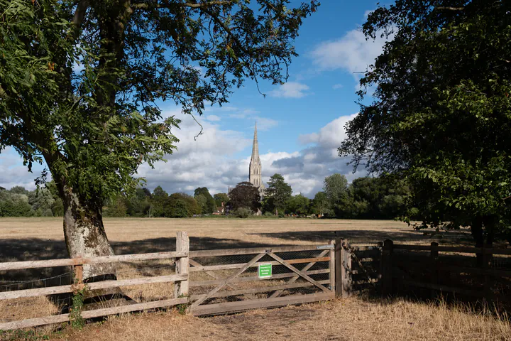 A gate into a field, with the spire of Salisbury Cathedral rising above the trees in the background