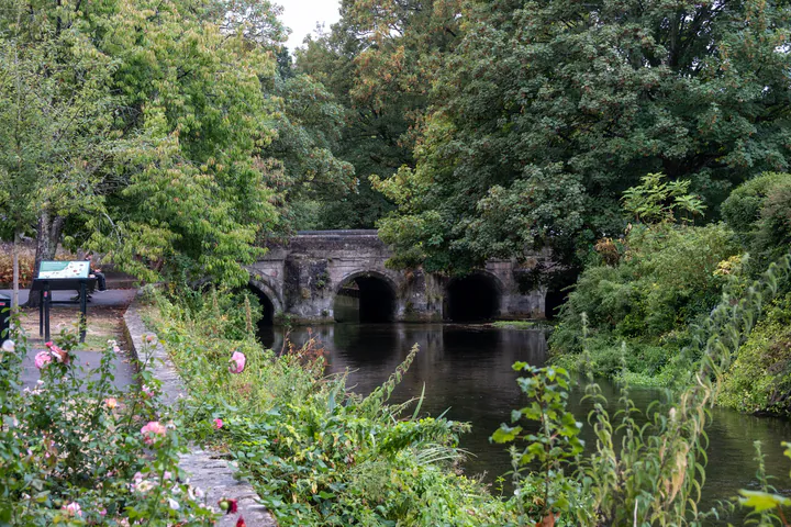 An old stone bridge over a river, with trees on both banks and flowers in the foreground