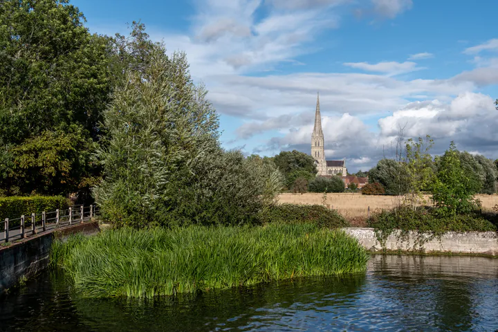 A view of Salisbury Cathedral from the water meadows. There's a large pond with reed beds in the foreground.