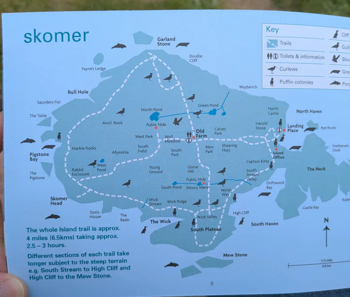 A map of Skomer Island showing all the paths and where you can see different birds and animals