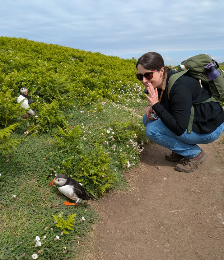 A woman crouching down looking absolutely delighted at two puffins by the footpath