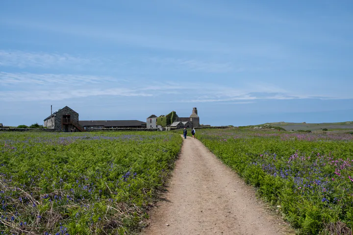 A wide path to a building in the distance