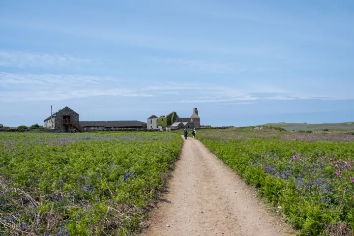 A wide path to a building in the distance