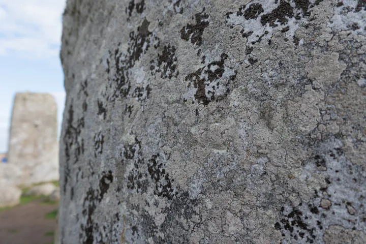 A close up of one of the stones, with the letters WREN carved into it