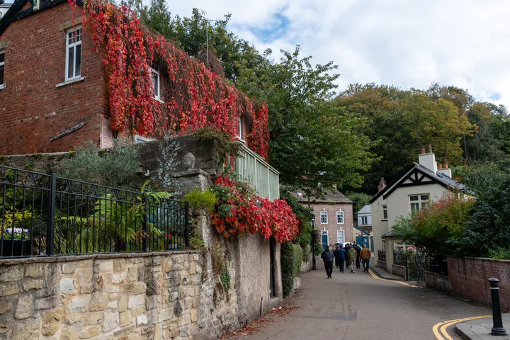 A house covered in red vines on a narrow street