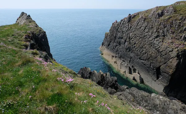 Wicker Man locations and red kites: a weekend in Galloway, Scotland