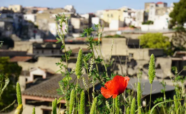 herculaneum-featured-860×530