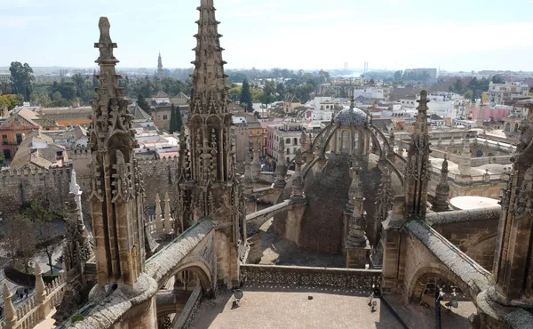 Seville cathedral rooftop tour