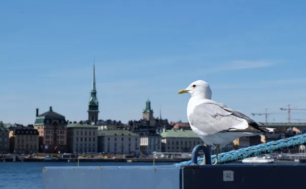 Abba and the archipelago: four nights in Stockholm