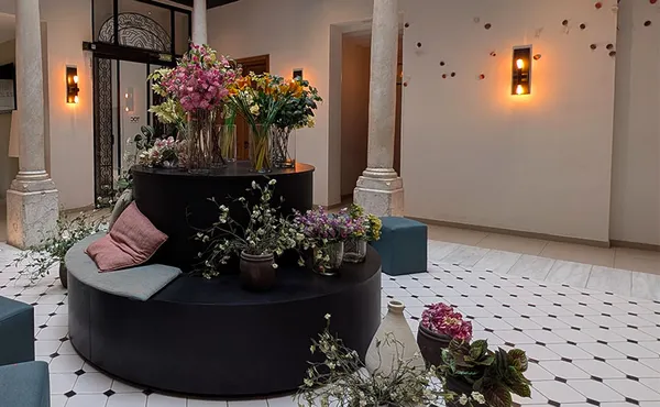 TOC Hostel Málaga review: a stylish stay in Málaga's old town