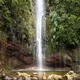 A waterfall in a forest in Madeira