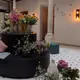 A flower arrangement at TOC Hostel Malaga