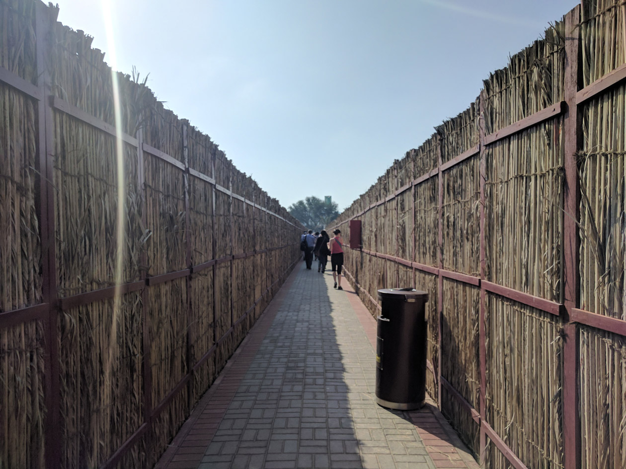 The path to the hide