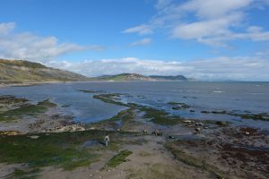 The cliffs at Lyme Regis where Mary Anning found fossils in the 1800s