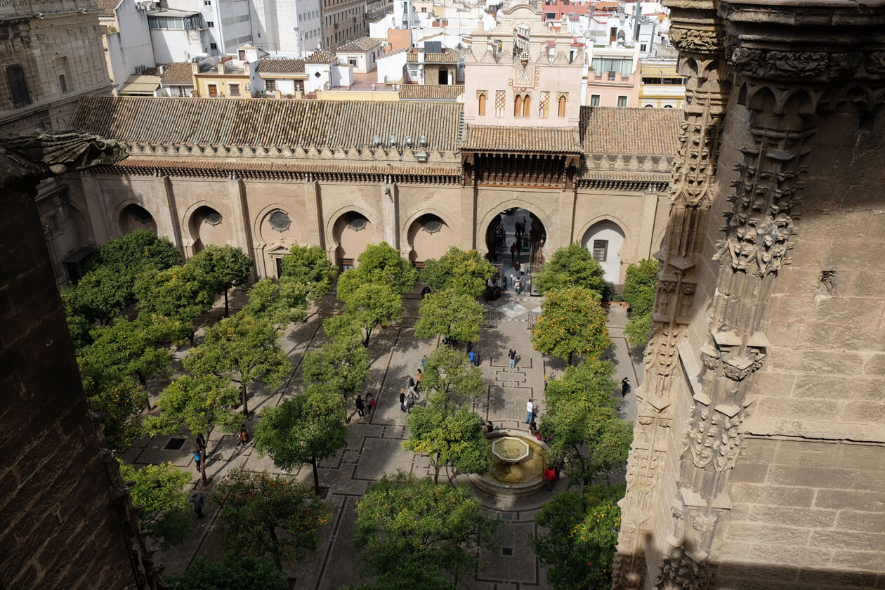 The orange trees in the courtyard, as seen from the Seville Cathedral rooftop tour