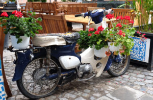 A vintage motorbike, repurposed as a flower planter in Bucharest
