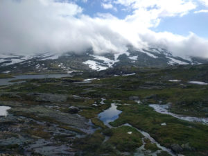 The landscape on the Bergen to Oslo railway line just after Myrdal