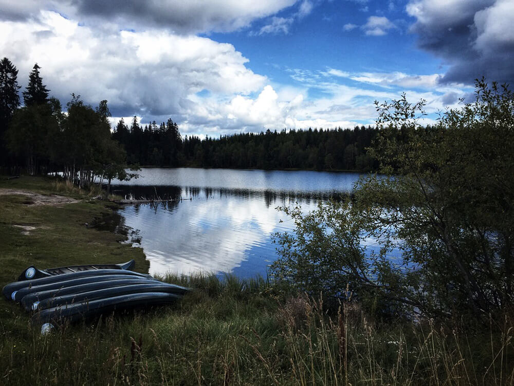 The Nordmarka forest area in Oslo