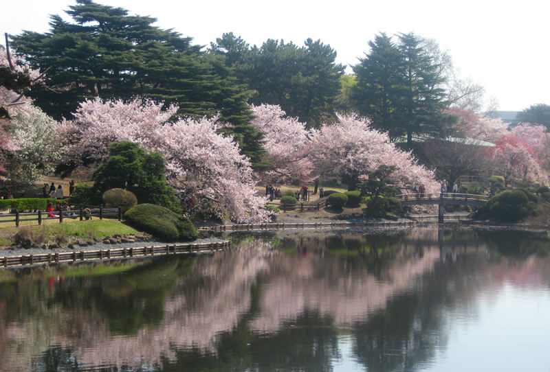 Tokyo