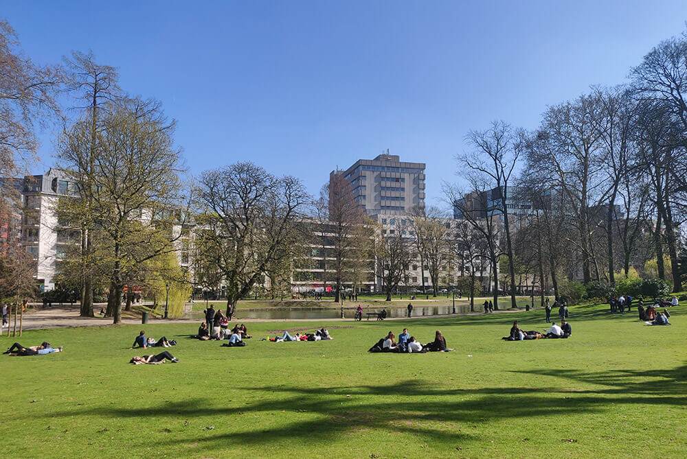 The green space and lake in Léopold Park