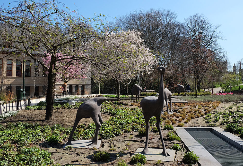 The ostriches in Leopold Park aren't a political statement but rather a hint at the zoo that used to be on the site in the 19th century