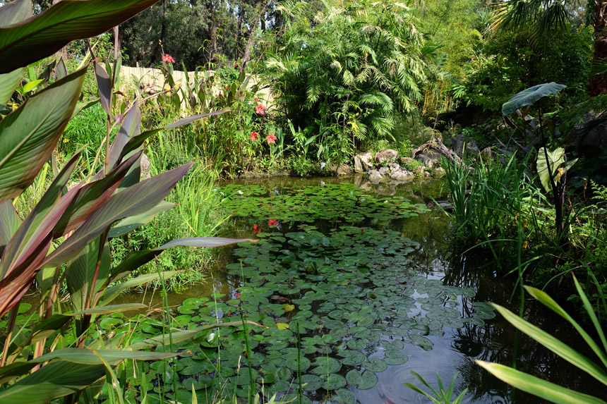 The lush Giardini la Mortella, created by composer William Walton's wife Susana