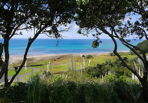 Hot Water Beach, Coromandel, where you can take a shovel and dig your very own thermal bath