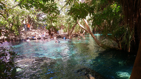 Kikuletwa hot springs, Tanzania