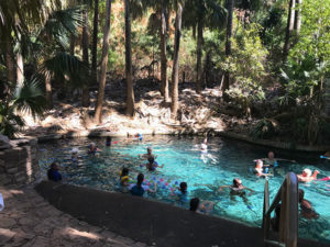 The Mataranka thermal pools in Australia's Northern Territory