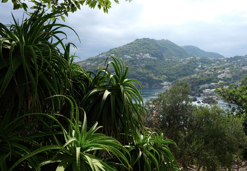 The pretty gardens at Castello Aragonese