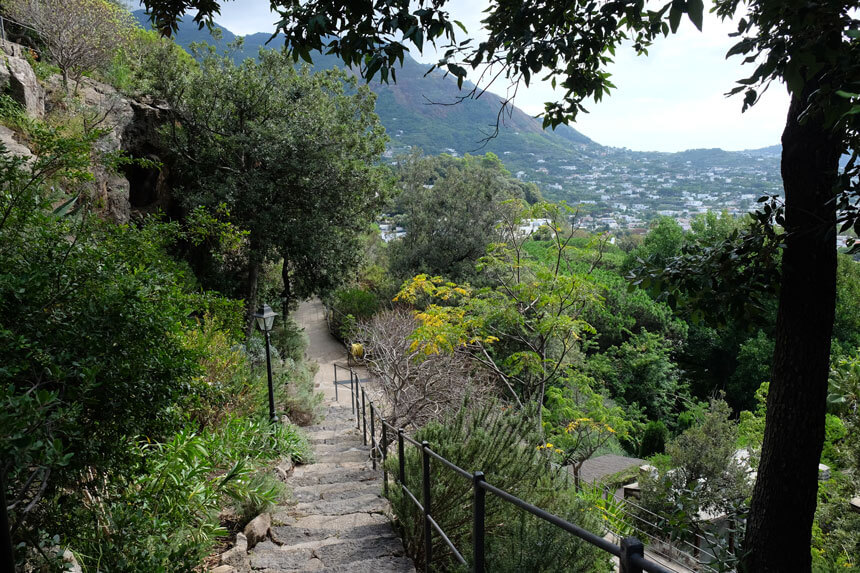 Climbing up out of the Valley Garden and into the Mediterranean Hill Garden at la Mortella