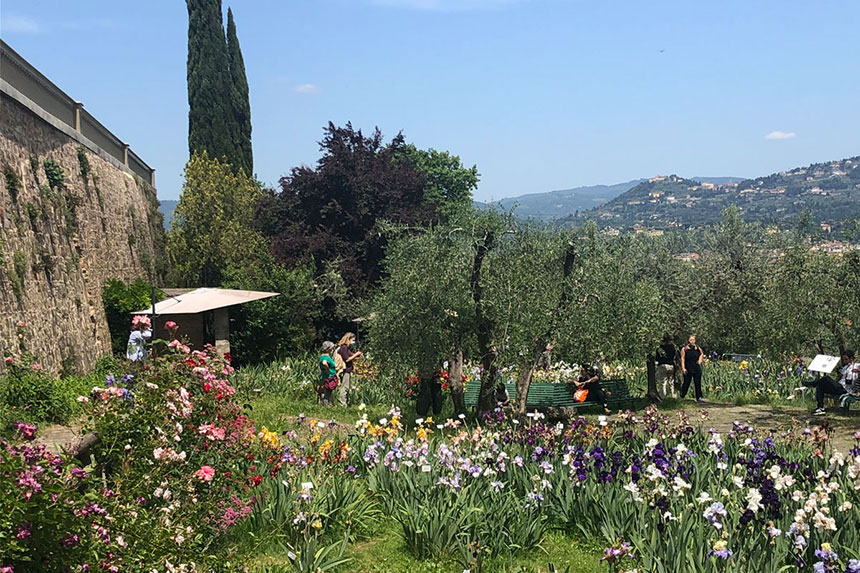 The Iris Garden in Florence, Italy