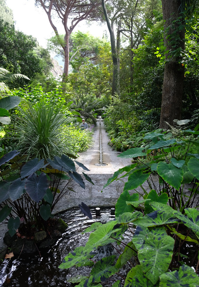 Looking down the channel that connects the first two water features in the lower Valley Gardens
