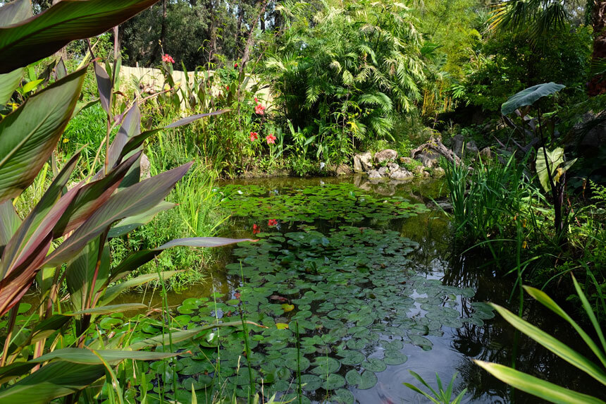 One of the water features in the upper part of Giardini la Mortella